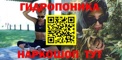твердый Будённовск