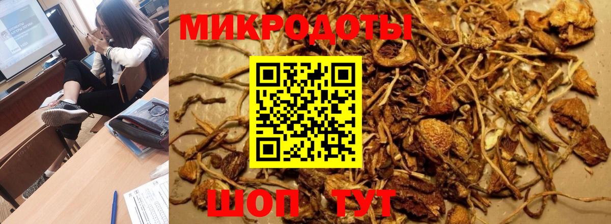 Псилоцибиновые грибы мухоморы Чистополь