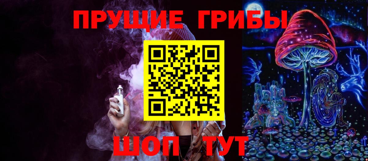 Галлюциногенные грибы MAGIC MUSHROOMS  Вход с VPN  Чистополь 